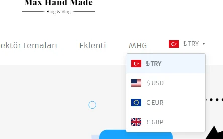 A site's navigation menu with the currency switcher's dropdown open, listing Turkish lira, US dollar, euro and pound sterling